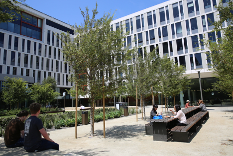 Mission Hall Courtyard with tables of people eating among trees