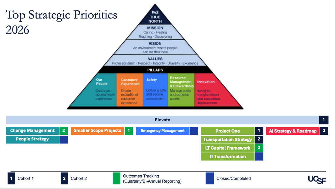 Image of the FAS Strategic Priorities - click to view the document details 