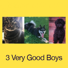3 Very Good Boys
