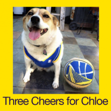Three Cheers for Chloe