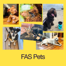 FAS Pets