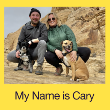 My Name is Carey